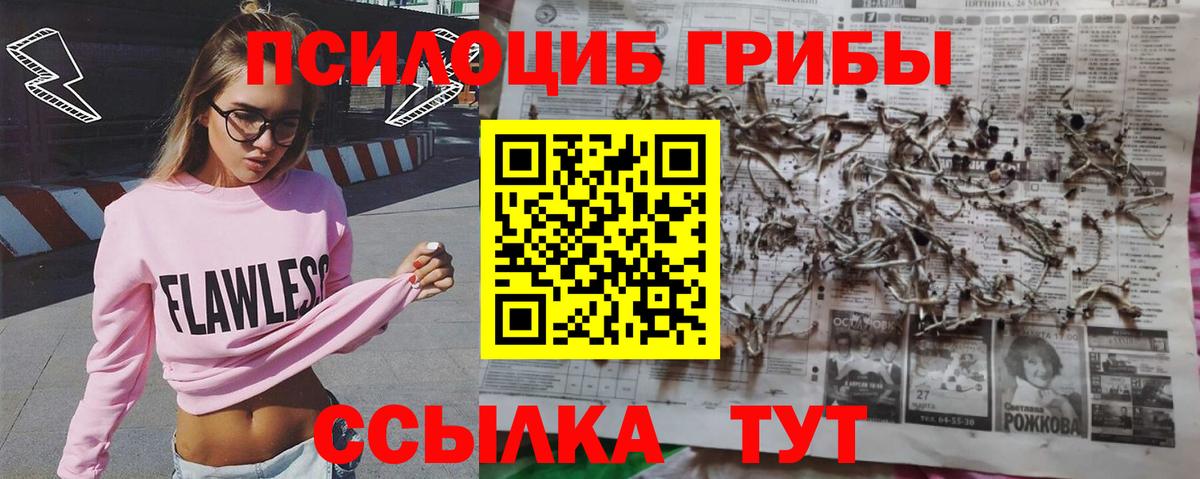 Галлюциногенные грибы мухоморы Лесозаводск
